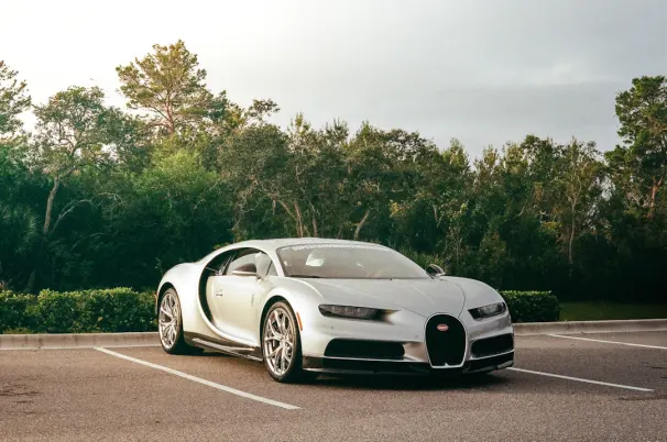 كازينو ويل دون سلوتس تطبيق أندرويد/آي أو إس